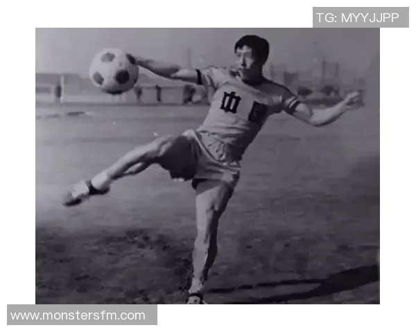 张家口足球的璀璨星光 十大本土足球球星闪耀绿茵场