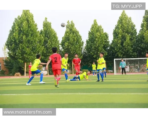 趣味足球星摇头摆件带你感受绿茵场上的激情与偶像魅力